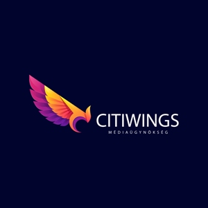 citiwings logo